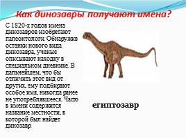 Динозавры - животные прошлого, слайд 21