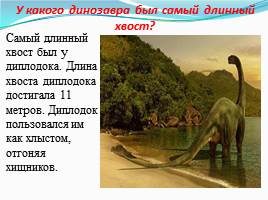Динозавры - животные прошлого, слайд 28