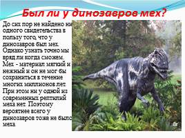 Динозавры - животные прошлого, слайд 5