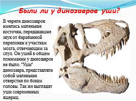 Динозавры - животные прошлого, слайд 8