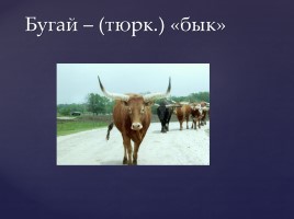Происхождение русских ругательств, слайд 7