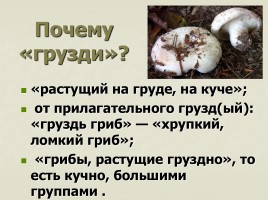 Происхождение названий грибов - Почему не иначе?, слайд 13