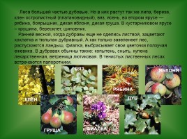 Животный и растительный мир Саратовской области, слайд 6
