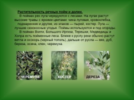 Животный и растительный мир Саратовской области, слайд 8