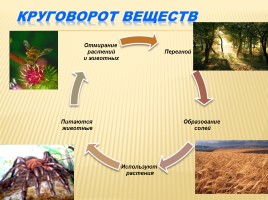 Почва - Её состав и свойства, слайд 28