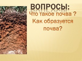 Почва - Её состав и свойства, слайд 6
