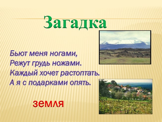 Презентация Почва Её состав и свойства