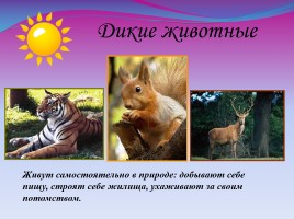 Окружающий мир 2 класс «Дикие и домашние животные», слайд 16