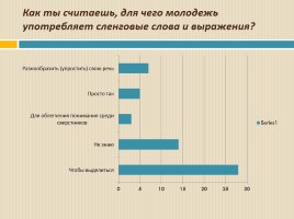 Влияние английского языка на развитие сленга молодежи россии, слайд 14