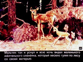 Д. Мамин-Сибиряк «Емеля-охотник», слайд 44
