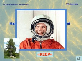 Игра-викторина для учащихся 8-11 классов «12 апреля - День космонавтики», слайд 10