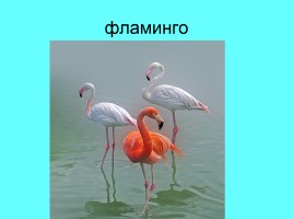 Русский язык 1 класс «Неизменяемые слова», слайд 9