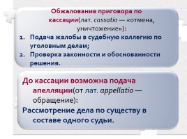 Процессуальное право: уголовный процесс, слайд 25