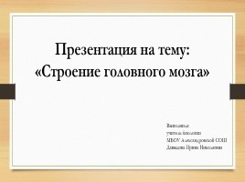 Строение головного мозга