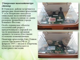 Проект «Заповедные зоны Саратовской области», слайд 13