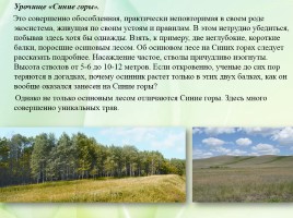 Проект «Заповедные зоны Саратовской области», слайд 17