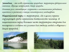 Проект «Заповедные зоны Саратовской области», слайд 8