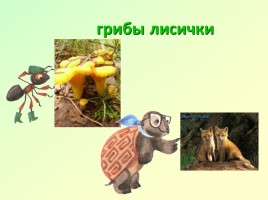 Почему их так называют? (помогает понять названия некоторых животных и растений), слайд 6