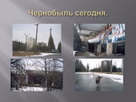 Чернобыль - это память на много веков, слайд 35