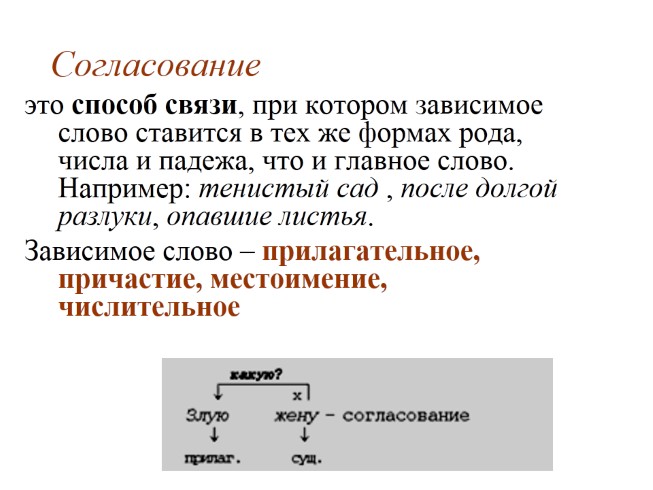 Презентация - Типы подчинительной связи в словосочетании: согласование ...