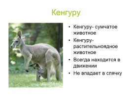 Звери-млекопитающие, слайд 5