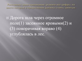 Подготовка к ЕГЭ по русскому языку, слайд 12