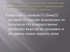 Подготовка к ЕГЭ по русскому языку, слайд 14