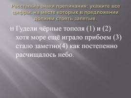 Подготовка к ЕГЭ по русскому языку, слайд 15
