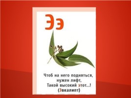 Азбука в стихах (растения), слайд 30