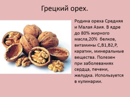 Проект «Эти чудесные орехи», слайд 12