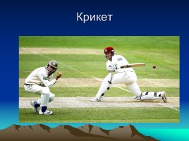 Исследовательская работа «Спорт в России и Великобритании», слайд 17