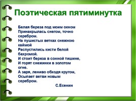 Русский язык 4 класс «Имя прилагательное как часть речи», слайд 8