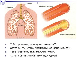 Курение и твое здоровье, слайд 6