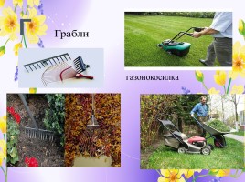Профессии: садовник, озеленитель, цветовод (инструменты и посадочный материал), слайд 11