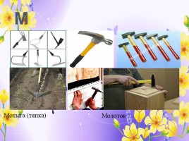 Профессии: садовник, озеленитель, цветовод (инструменты и посадочный материал), слайд 14