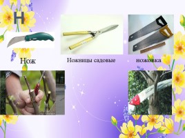 Профессии: садовник, озеленитель, цветовод (инструменты и посадочный материал), слайд 15
