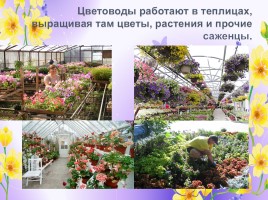 Профессии: садовник, озеленитель, цветовод (инструменты и посадочный материал), слайд 8