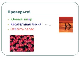 Турнир знатоков русского языка, слайд 7