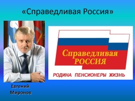 Выборы депутатов, слайд 18