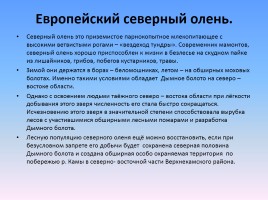 Проект «Животные и растения Кировской области, которые занесены в Красную книгу России», слайд 14