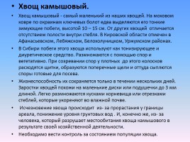 Проект «Животные и растения Кировской области, которые занесены в Красную книгу России», слайд 6