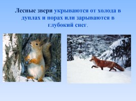 Литературное чтение 1 класс - И. Суриков «Зима», слайд 9