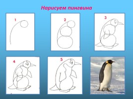 Урок изобразительного искусства «Пингвины», слайд 7