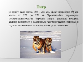 Урок окружающего мира в 3 классе «Охрана животных», слайд 10