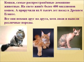 Окружающий мир 1 класс «Почему мы любим кошек и собак», слайд 2