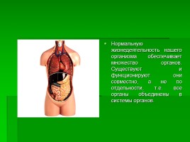 Системы органов человека, слайд 2