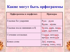 Урок русского языка 5 класс «Орфограмма», слайд 9