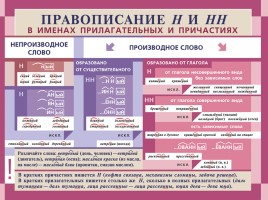 Русский язык в таблицах от ДРОФЫ (по орфографии и пунктуации), слайд 14