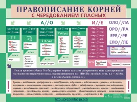 Русский язык в таблицах от ДРОФЫ (по орфографии и пунктуации), слайд 5