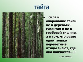 Леса России, слайд 6